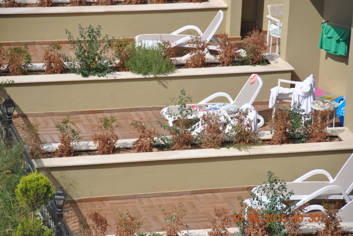 imagini hotel SUNIS EFES ROYAL PALACE OZDERE